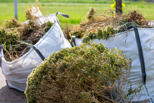 Best Shed Removal  in Lexington, OH